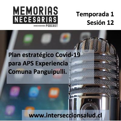 12.- Plan estratégico Covid-19 para APS Experiencia Comuna Panguipulli.