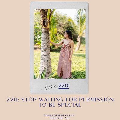 220: Stop waiting for permission to be special 220: Stop waiting for permission to be special