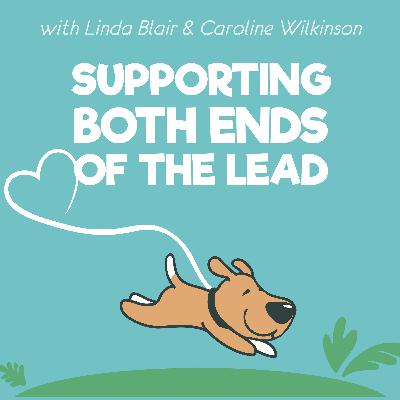 Reducing Stress During Relocation - Moving Home with Your Dog