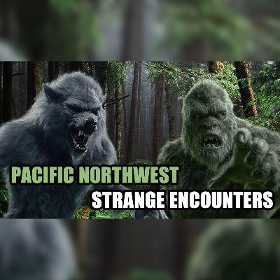 Bigfoot, Dogman, Paranormal Encounters of the Pacific Northwest | EP 366 Bigfoot, Dogman, Paranormal Encounters of the Pacific Northwest | EP 366