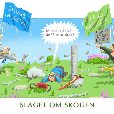 Skogsfredag #314 - Orättvisa inom skogsägarledet? Skogsfredag #314 - Orättvisa inom skogsägarledet?