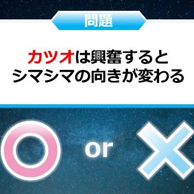 クイズ２択王｜魚の雑学｜カツオ