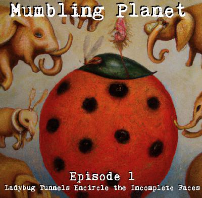 #1 - Ladybug Tunnels Encircle the Incomplete Face