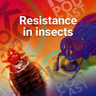 Episode 32: Resistance in Insects