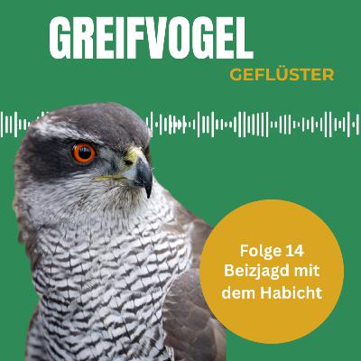 Beizjagd mit dem Habicht - Interview mit Falkner Gregor Klein