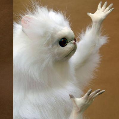 Episode 19: Seasonal Depression? 6-7