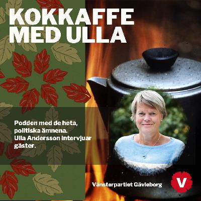 EU, feminism, flyktingar med Malin Björk EU, feminism, flyktingar med Malin Björk