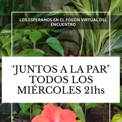 Fernando Quetto: Las Emociones y la Luz- Desde las Constelaciones Familiares y Sistémicas.