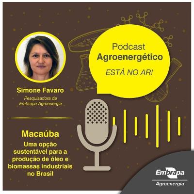 Simone Favaro - Pesquisadora da Embrapa Agroenergia
