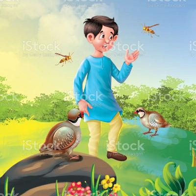 The Farmer, the Wasps and the Patridges The Farmer, the Wasps and the Patridges