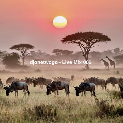 djonetwogo - Live Mix 065