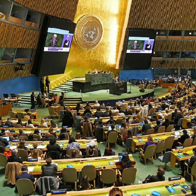 12. 联合国实习是种怎样的体验？东西方文化差异下的"破壁”个体叙事