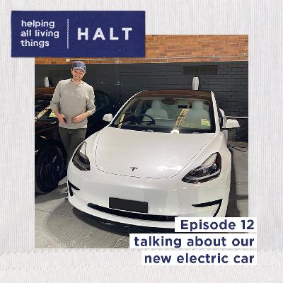 We Bought A Tesla !? - Solo Episode