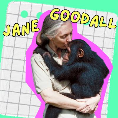 🕊️ Jane Goodall, une vie au service de la nature et des animaux