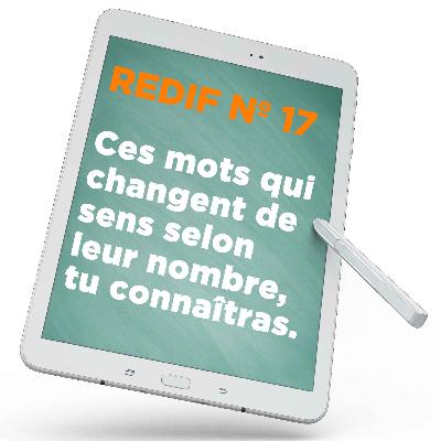 Redif nº 17 : Ces mots qui changent de sens selon leur nombre, tu connaîtras.