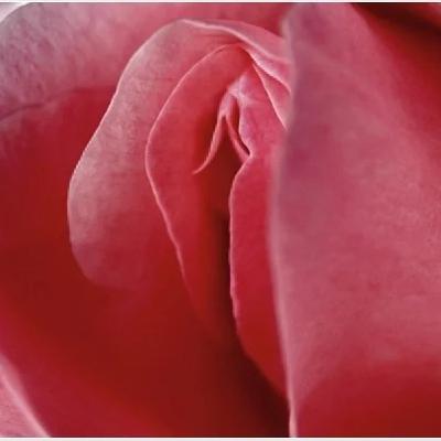 Lucas y su vecina (tercera parte)