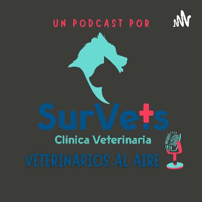 ¿Quienes somos?