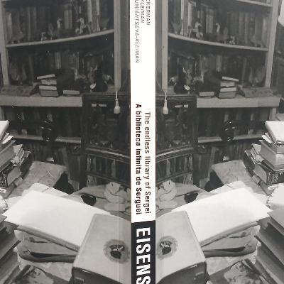 Uma biblioteca no mundo (sobre “A biblioteca infinita de Serguei Eisenstein”)