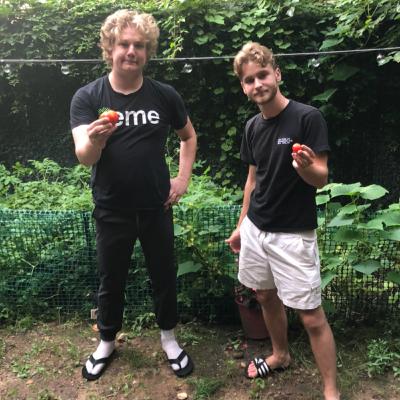 15 - The Garden 3 15 - The Garden 3