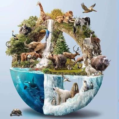 Sistema de gestión Ambiental SGA