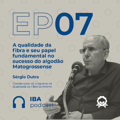 #7 A qualidade da fibra e seu papel fundamental no sucesso do algodão Matogrossense