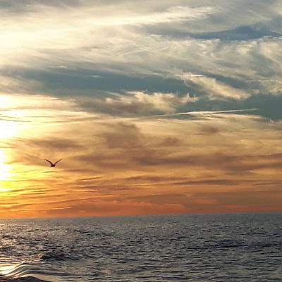 DROGI MIŁOSIERDZIA seria 2, piątek DROGI MIŁOSIERDZIA seria 2, piątek