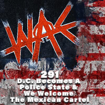 291: D.C. Becomes A Police State & We Welcome The Mexican Cartel