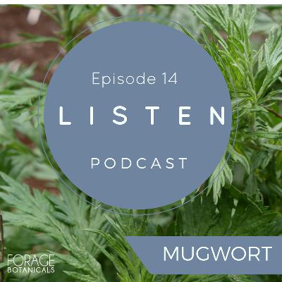 E14 Mugwort.mp3