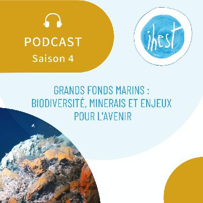 Grands fonds marins : biodiversité, minerais et enjeux pour l'avenir