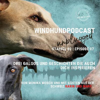 Windhunde verstehen - Vertrauen und Zweifel - unplugged Windhunde verstehen - Vertrauen und Zweifel - unplugged