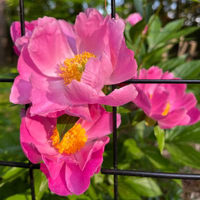 Keep Going Keep Going