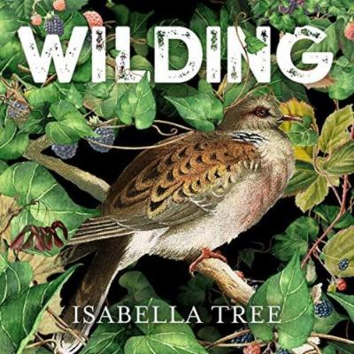 Wilding by Isabella Tree