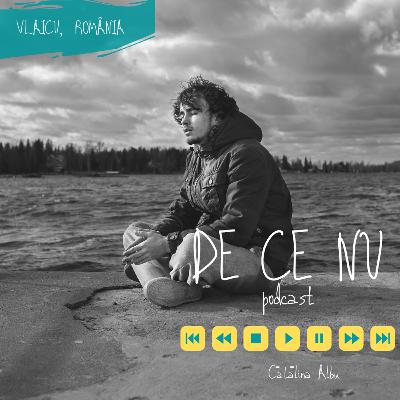 Vlaicu, Romania: profesiile creative si alte mistere (E5)