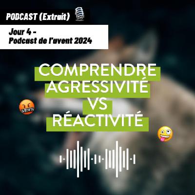 JOUR 4 - Comprendre Agressivité vs Réactivité [Podcast de l'avent 🎄]