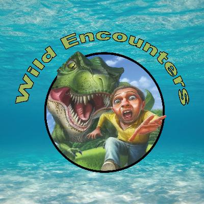 Jules Casey Jules Casey