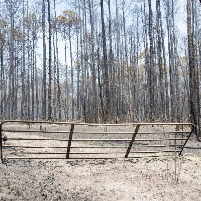 LISTEN - 5 MILE SWAMP FIRE UPDATE - (May 8 ) - Blaze grows to 2,180 acres, wind shift expected to push fire north