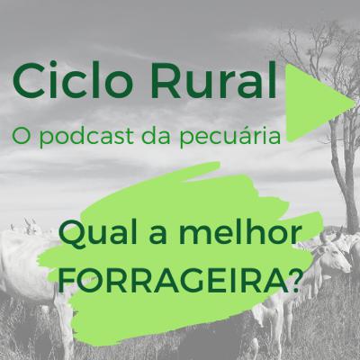 #02 - Qual a melhor forrageira?