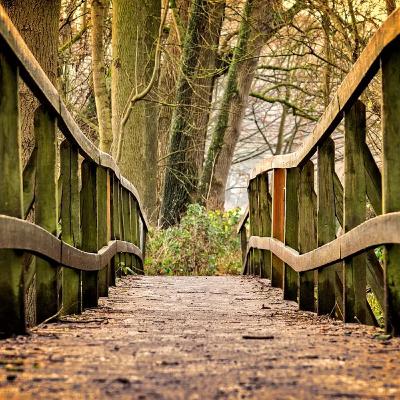 Los Viajes Iniciáticos y la Aventura Espiritual