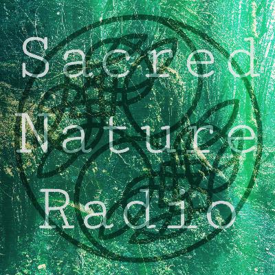 04 - Conversation with Seán Pádraig O’Donoghue about spiritual ecology and living a meaningful life in late capitalism 04 - Conversation with Seán Pádraig O’Donoghue about spiritual ecology and living a meaningful life in late capitalism