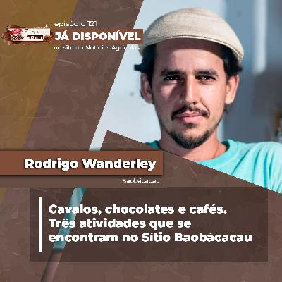 Doma racional de cavalos, produção de chocolates Tree-to-Bar e o universo dos cafés especiais se unem nos trabalhos do sítio Baobácacau