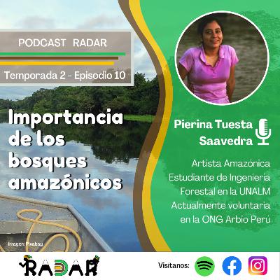Episodio 10: Importancia de bosques amazónicos