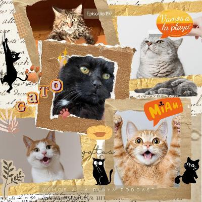 197. Un ronroneo en la historia🐈 197. Un ronroneo en la historia🐈