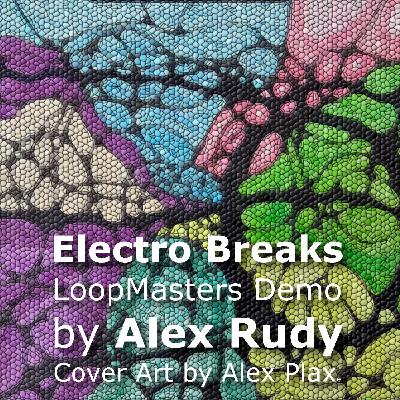 Electro Breaks LoopMasters Demo