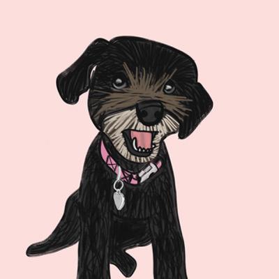 Episode 0 - Introduction + 3 quick dog-walking photo tips!