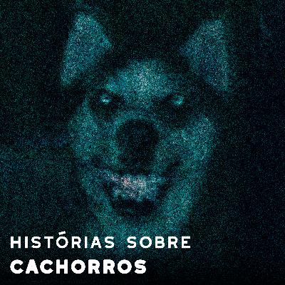 Histórias assustadoras envolvendo cachorros