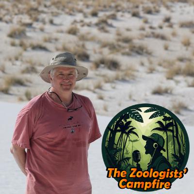 Matthew Rowe on his close encounters with snakes, scorpions, and a brazen baboon called Wimpy