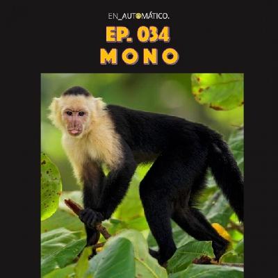 Ep. 034 I Mono