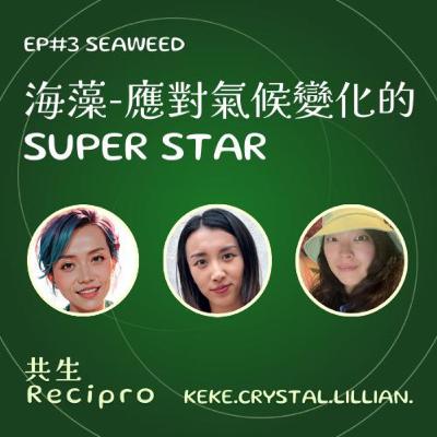 151-Recipro#3 Seaweed|海藻- 應對氣候變化的 SUPER STAR 151-Recipro#3 Seaweed|海藻- 應對氣候變化的 SUPER STAR