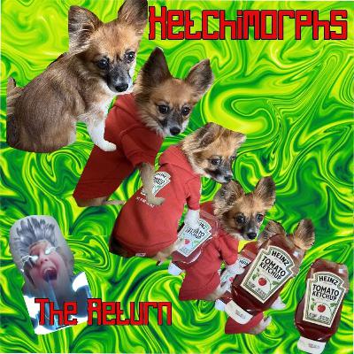 Episode - 025 Episode - 025