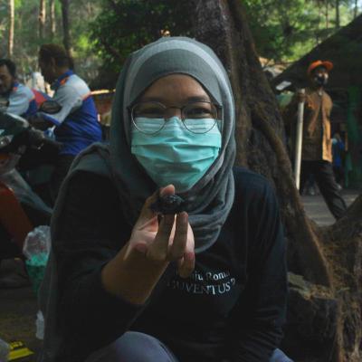 Penyu di Goa Cemara, Dulu Diburu kini Dilestarikan Penyu di Goa Cemara, Dulu Diburu kini Dilestarikan